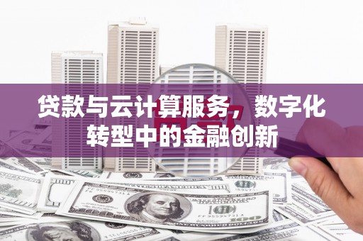 芦淞贷款与云计算服务，数字化转型中的金融创新