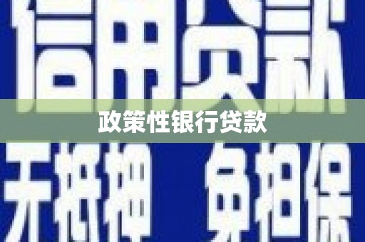 芦淞政策性银行贷款