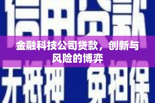 芦淞金融科技公司贷款，创新与风险的博弈