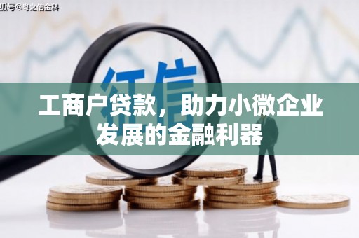 芦淞工商户贷款，助力小微企业发展的金融利器