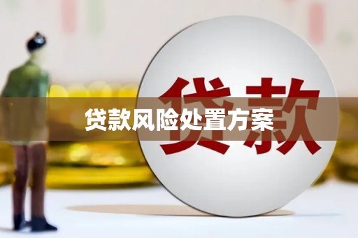 芦淞贷款风险处置方案