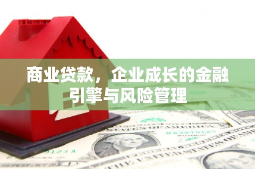 芦淞商业贷款，企业成长的金融引擎与风险管理