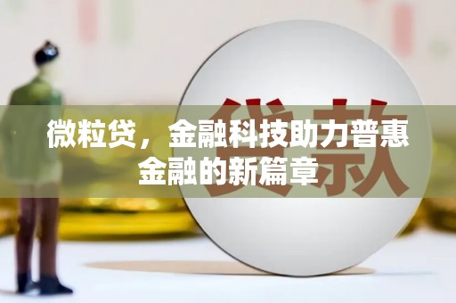 芦淞微粒贷，金融科技助力普惠金融的新篇章