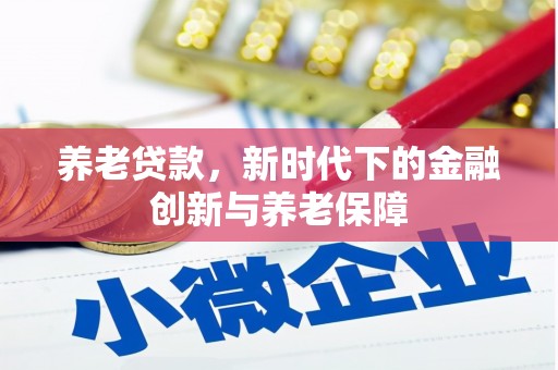 芦淞养老贷款，新时代下的金融创新与养老保障