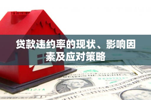 芦淞贷款违约率的现状、影响因素及应对策略