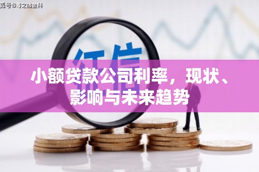 芦淞小额贷款公司利率，现状、影响与未来趋势