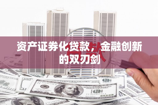 芦淞资产证券化贷款，金融创新的双刃剑