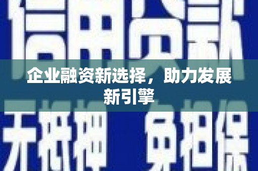 芦淞企业融资新选择，助力发展新引擎