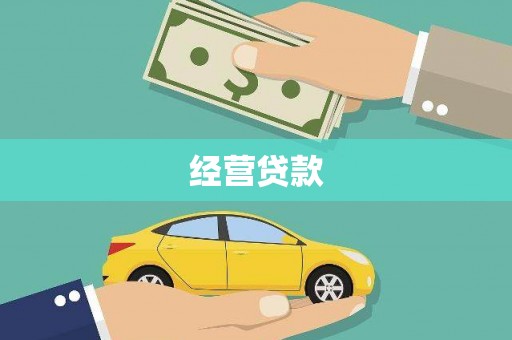 芦淞经营贷款