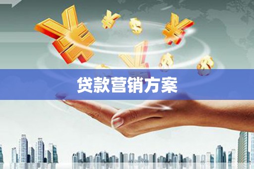 芦淞贷款营销方案