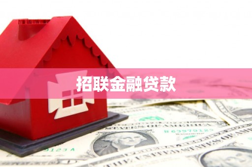 芦淞招联金融贷款