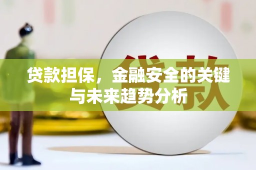 芦淞贷款担保，金融安全的关键与未来趋势分析