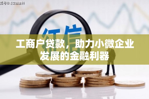 芦淞工商户贷款，助力小微企业发展的金融利器