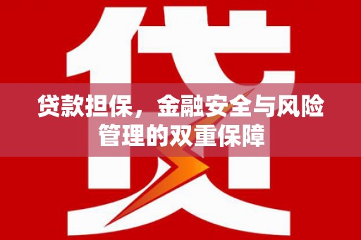 芦淞贷款担保，金融安全与风险管理的双重保障