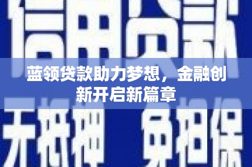芦淞蓝领贷款助力梦想，金融创新开启新篇章