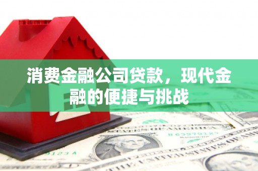 芦淞消费金融公司贷款，现代金融的便捷与挑战