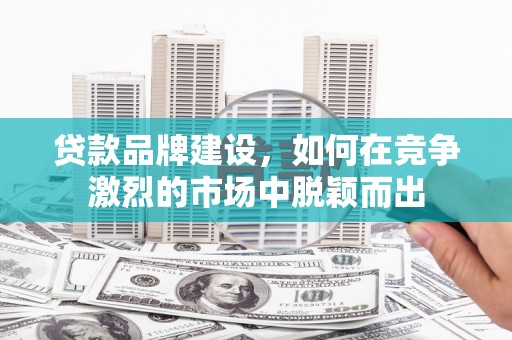 芦淞贷款品牌建设，如何在竞争激烈的市场中脱颖而出