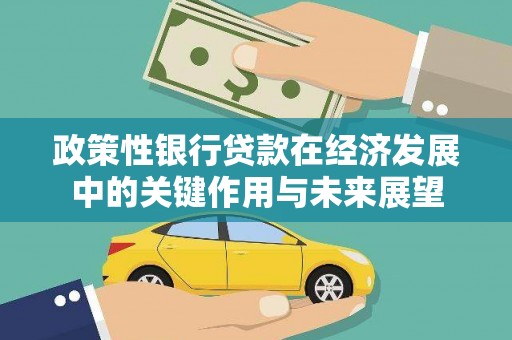 芦淞政策性银行贷款在经济发展中的关键作用与未来展望