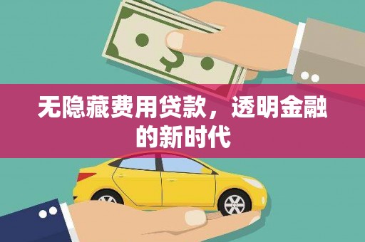 芦淞无隐藏费用贷款，透明金融的新时代