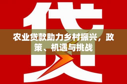 芦淞农业贷款助力乡村振兴，政策、机遇与挑战