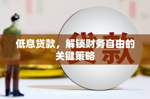 芦淞低息贷款，解锁财务自由的关键策略