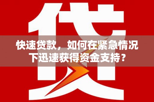 芦淞快速贷款，如何在紧急情况下迅速获得资金支持？