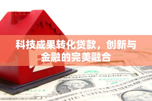 芦淞科技成果转化贷款，创新与金融的完美融合