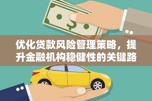 芦淞优化贷款风险管理策略，提升金融机构稳健性的关键路径