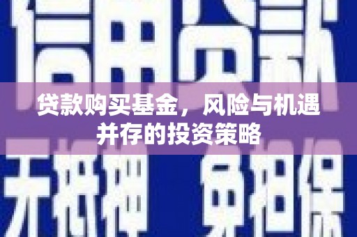 芦淞贷款购买基金，风险与机遇并存的投资策略