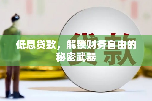芦淞低息贷款，解锁财务自由的秘密武器