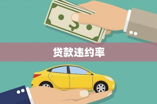 芦淞贷款违约率