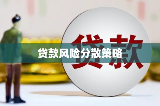 芦淞贷款风险分散策略