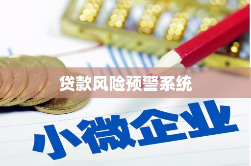 芦淞贷款风险预警系统