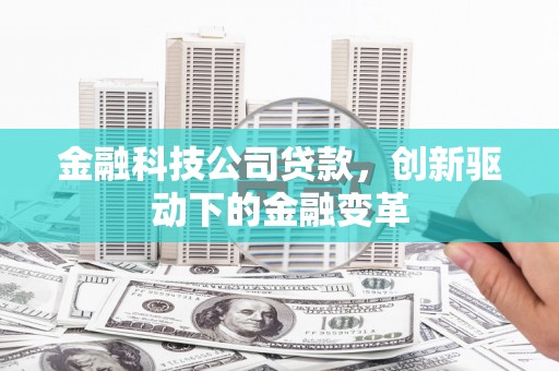 芦淞金融科技公司贷款，创新驱动下的金融变革