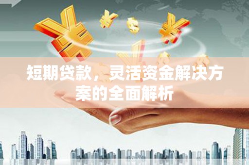 芦淞短期贷款，灵活资金解决方案的全面解析