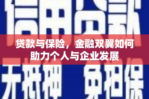 芦淞贷款与保险，金融双翼如何助力个人与企业发展