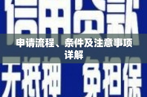 芦淞申请流程、条件及注意事项详解