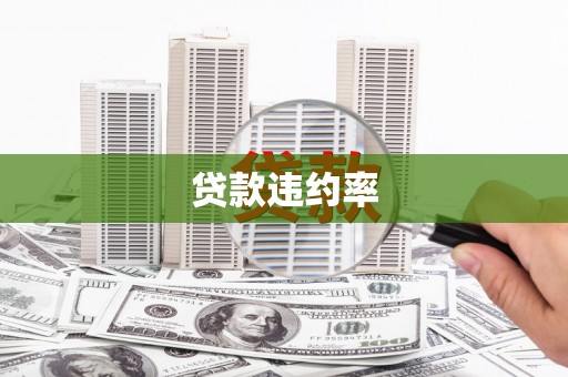 芦淞贷款违约率