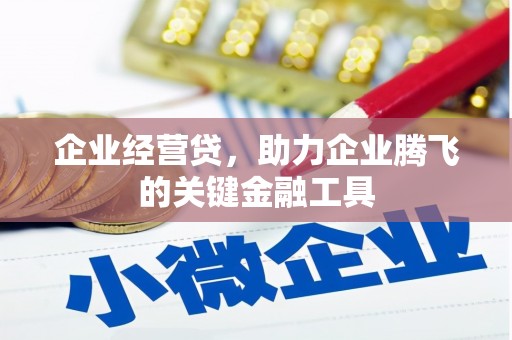 芦淞企业经营贷，助力企业腾飞的关键金融工具