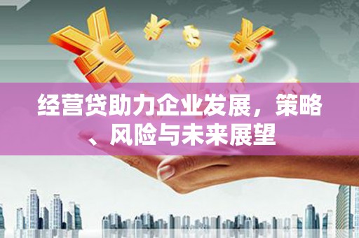 芦淞经营贷助力企业发展，策略、风险与未来展望