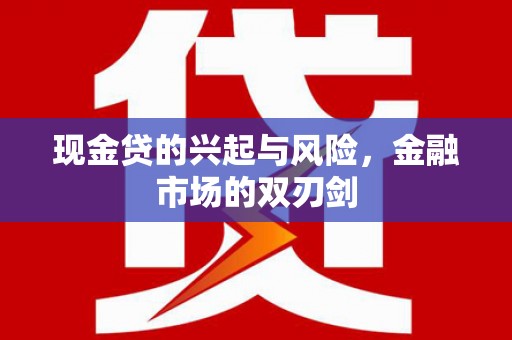 芦淞现金贷的兴起与风险，金融市场的双刃剑