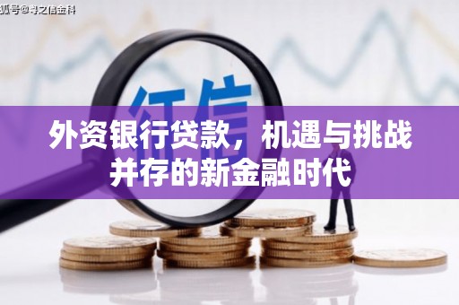 芦淞外资银行贷款，机遇与挑战并存的新金融时代