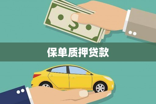 芦淞保单质押贷款