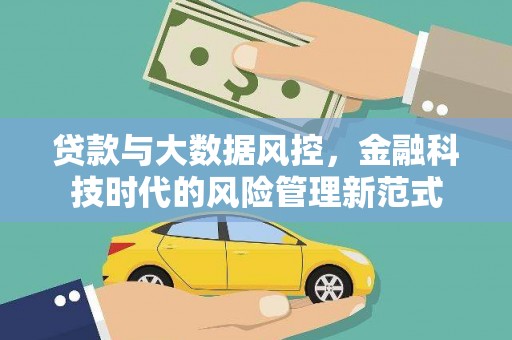 芦淞贷款与大数据风控，金融科技时代的风险管理新范式