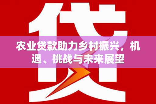 芦淞农业贷款助力乡村振兴，机遇、挑战与未来展望