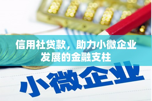 芦淞信用社贷款，助力小微企业发展的金融支柱