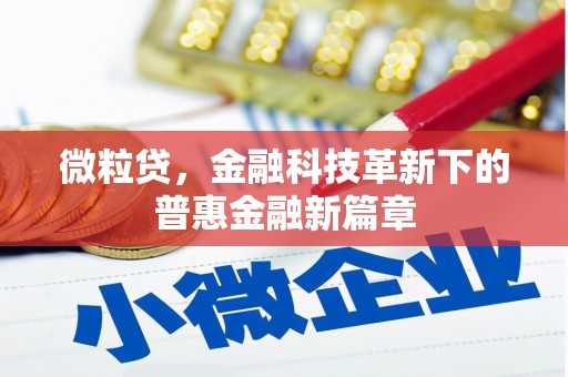 芦淞微粒贷，金融科技革新下的普惠金融新篇章