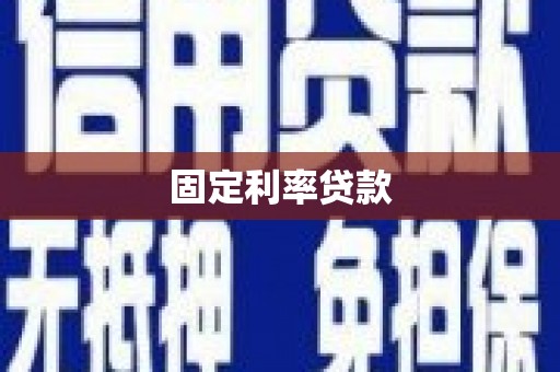 芦淞固定利率贷款