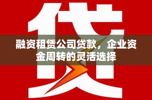 芦淞融资租赁公司贷款，企业资金周转的灵活选择
