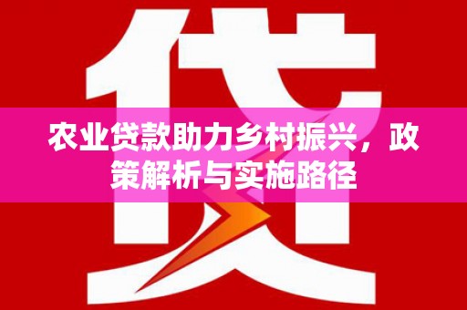 芦淞农业贷款助力乡村振兴，政策解析与实施路径